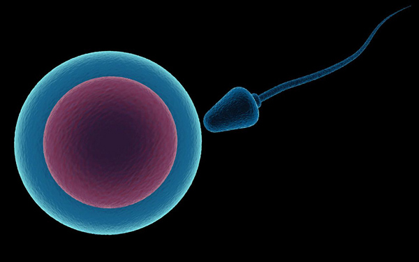 尊龙抖圈 - 为du而生